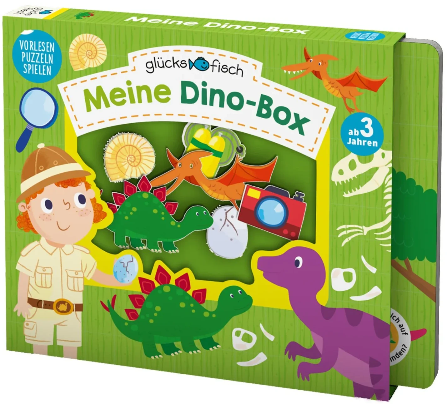 Meine Dino-Box
