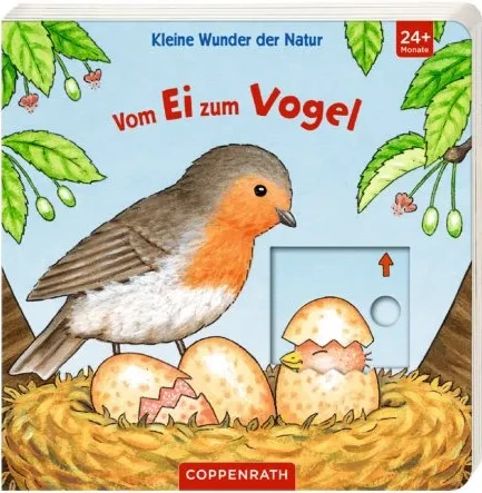 Vom Ei zum Vogel - Kleine Wunder der Natur