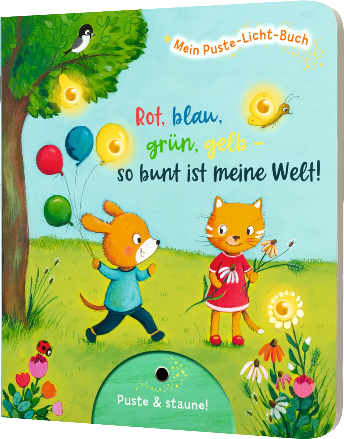 Rot, blau. grün, gelb - So bunt ist die Welt