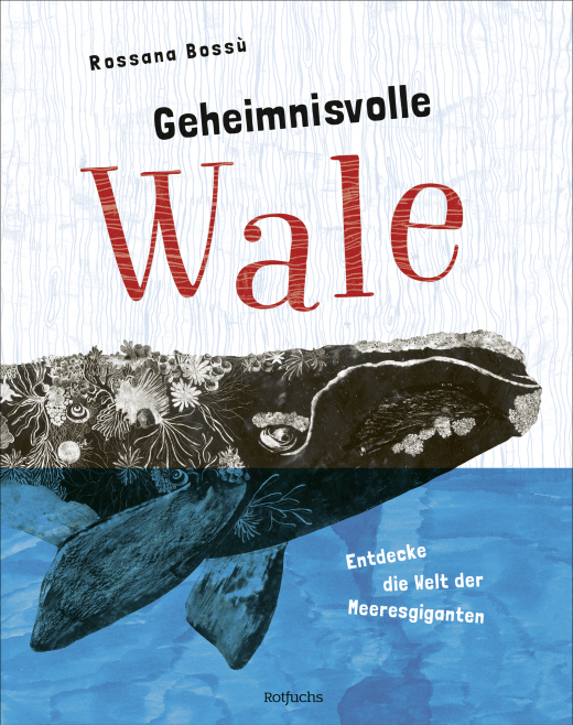 Geheimnisvolle Wale